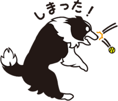 BORDERS sticker #1922516