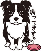 BORDERS sticker #1922520