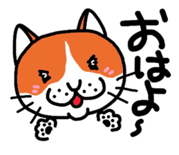 Funny cat! sticker #1924701