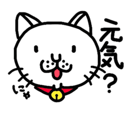 Funny cat! sticker #1924702