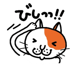 Funny cat! sticker #1924707