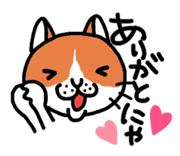 Funny cat! sticker #1924713