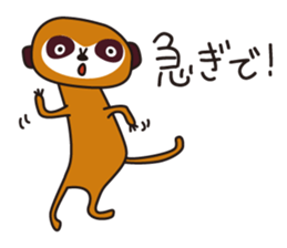 Meerkat club sticker #1924944