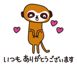 Meerkat club sticker #1924970