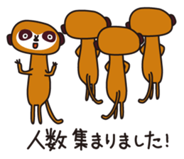 Meerkat club sticker #1924974
