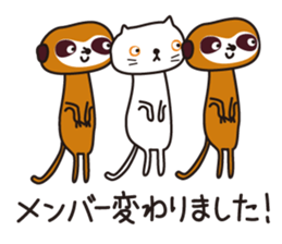 Meerkat club sticker #1924976