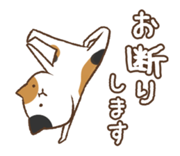 Honorific cat dancing sticker #1925221