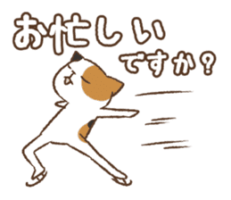 Honorific cat dancing sticker #1925229