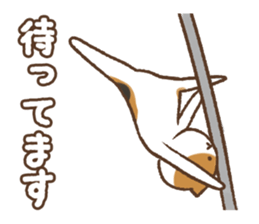 Honorific cat dancing sticker #1925232