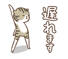 Honorific cat dancing sticker #1925248