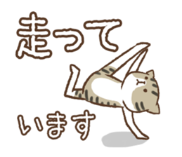 Honorific cat dancing sticker #1925249
