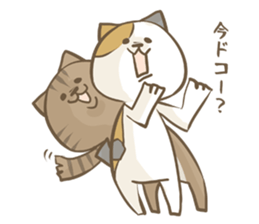 Cat Day4 sticker #1927644