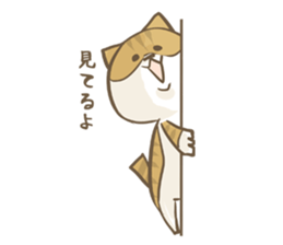 Cat Day4 sticker #1927651