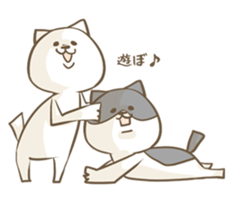 Cat Day4 sticker #1927671