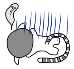 Together with the ring-tailed lemur sticker #1928868