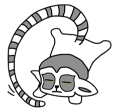 Together with the ring-tailed lemur sticker #1928876