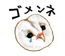 barn owl named Gizmo sticker #1930923