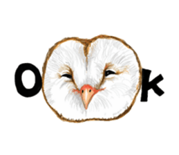 barn owl named Gizmo sticker #1930924