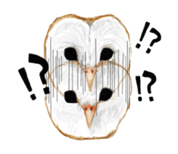 barn owl named Gizmo sticker #1930926