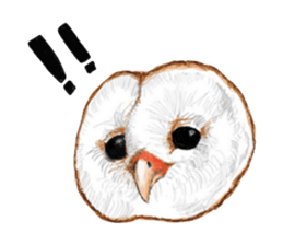 barn owl named Gizmo sticker #1930928