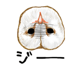 barn owl named Gizmo sticker #1930931