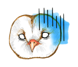 barn owl named Gizmo sticker #1930935