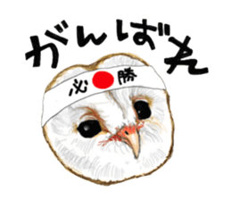 barn owl named Gizmo sticker #1930936