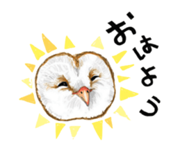 barn owl named Gizmo sticker #1930942