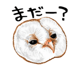 barn owl named Gizmo sticker #1930944