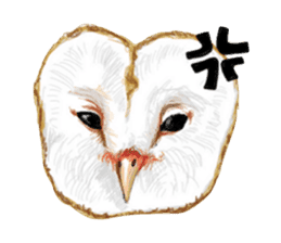 barn owl named Gizmo sticker #1930945