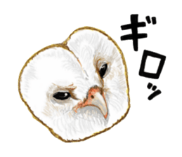 barn owl named Gizmo sticker #1930946