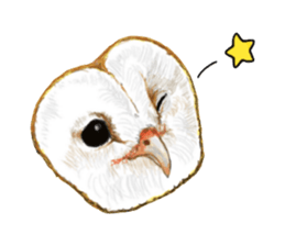 barn owl named Gizmo sticker #1930948
