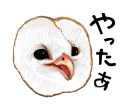 barn owl named Gizmo sticker #1930950