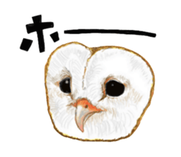 barn owl named Gizmo sticker #1930953