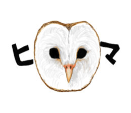 barn owl named Gizmo sticker #1930954