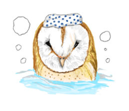 barn owl named Gizmo sticker #1930956