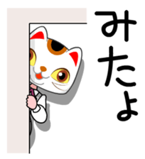 THE NEKOKABURI sticker #1934261