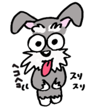 Speaking for pet dogs. schnauzer! sticker #1934557