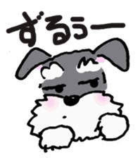 Speaking for pet dogs. schnauzer! sticker #1934559