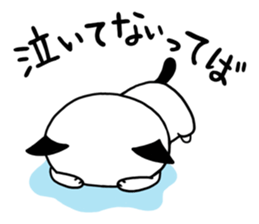 Chubby cat message 2 sticker #1938778