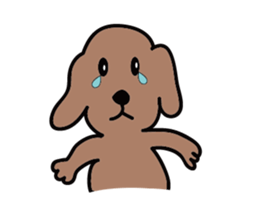 Everyday of a dog sticker #1939248