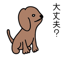 Everyday of a dog sticker #1939258