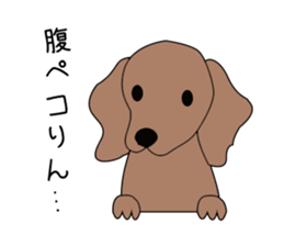 Everyday of a dog sticker #1939261