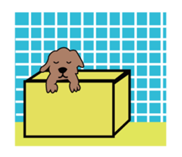 Everyday of a dog sticker #1939266