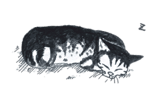 Sunny and Susie sticker #1939493