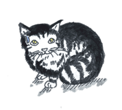 Sunny and Susie sticker #1939501