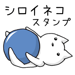 white cat at everybody