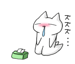 white cat at everybody sticker #1939883