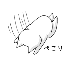 white cat at everybody sticker #1939899