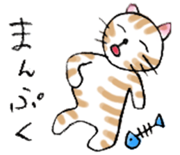 Cat sta sticker #1943781